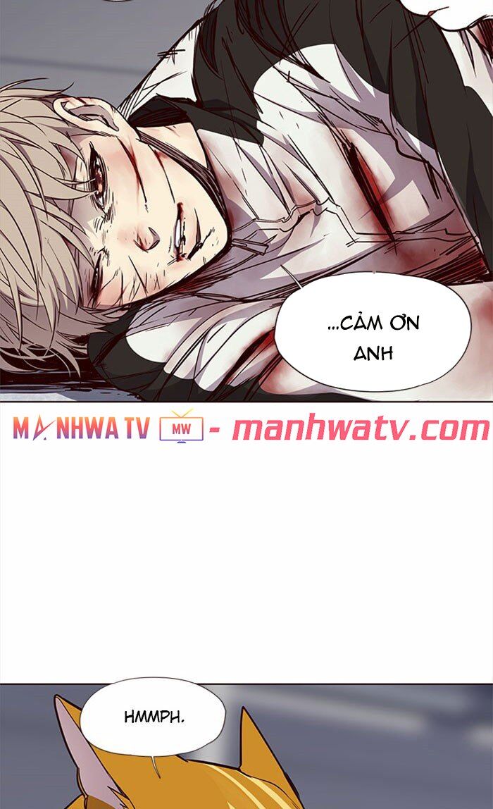 Hoá Thân Thành Mèo - Chapter 27 - Page 75