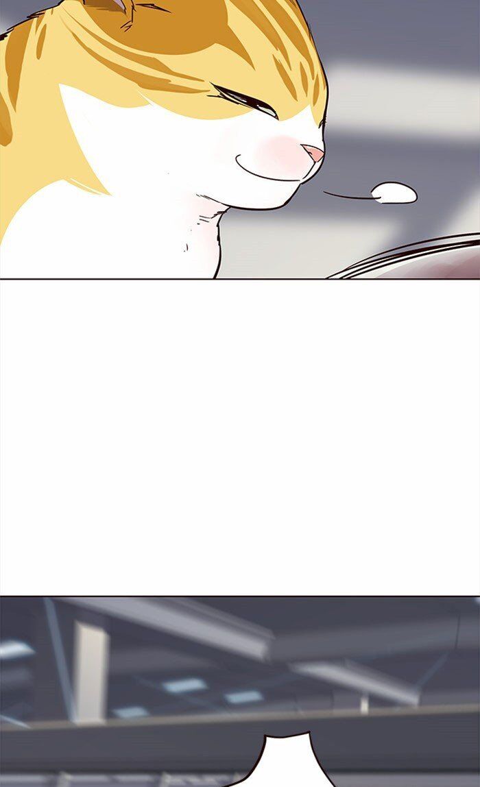 Hoá Thân Thành Mèo - Chapter 27 - Page 76