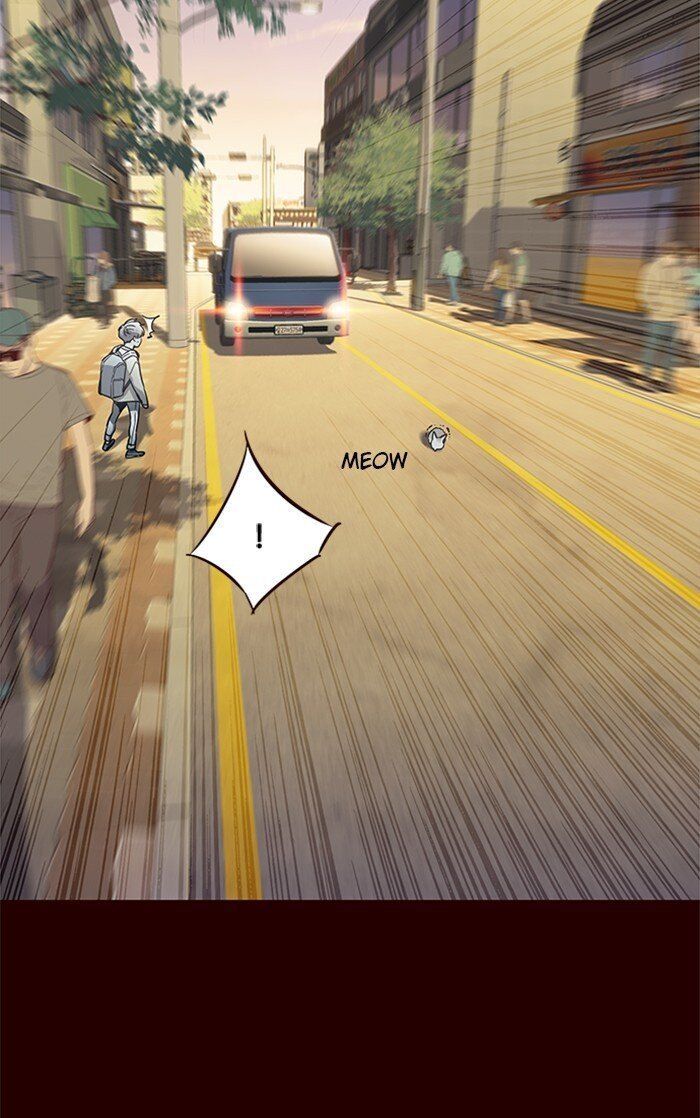 Hoá Thân Thành Mèo - Chapter 27 - Page 9