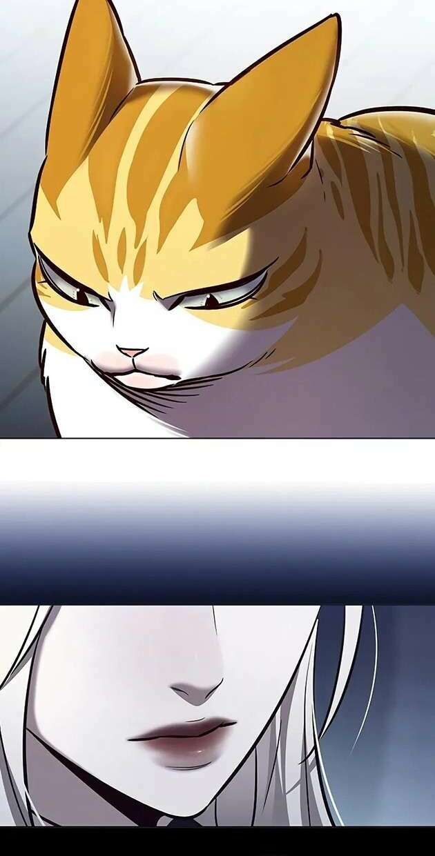 Hoá Thân Thành Mèo - Chapter 270 - Page 19