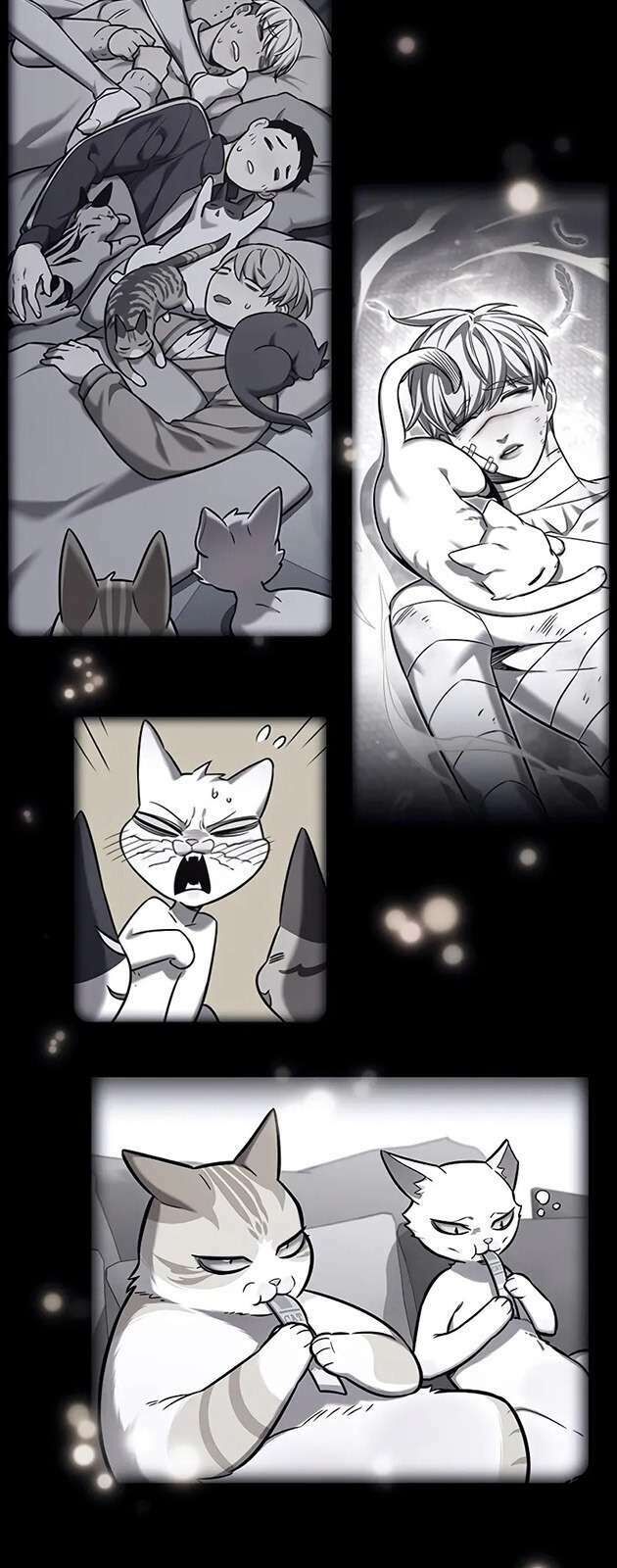 Hoá Thân Thành Mèo - Chapter 270 - Page 65