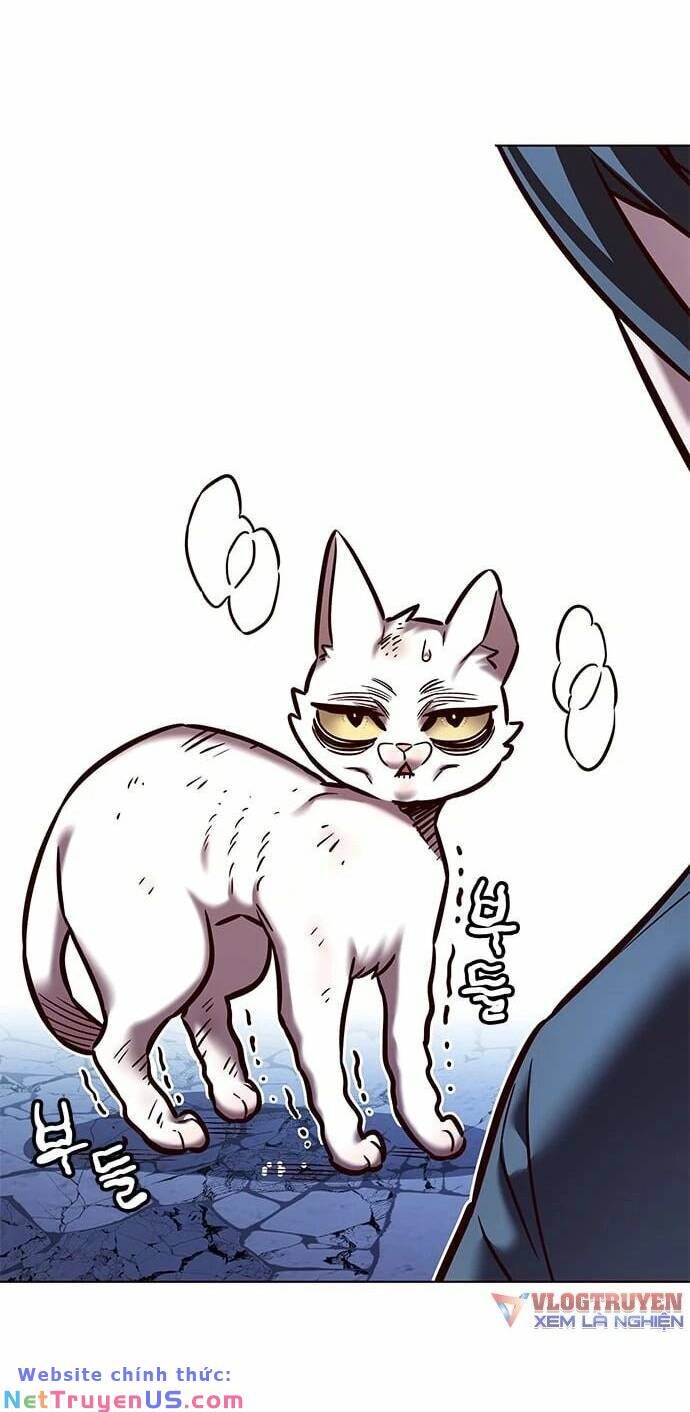 Hoá Thân Thành Mèo - Chapter 275 - Page 21
