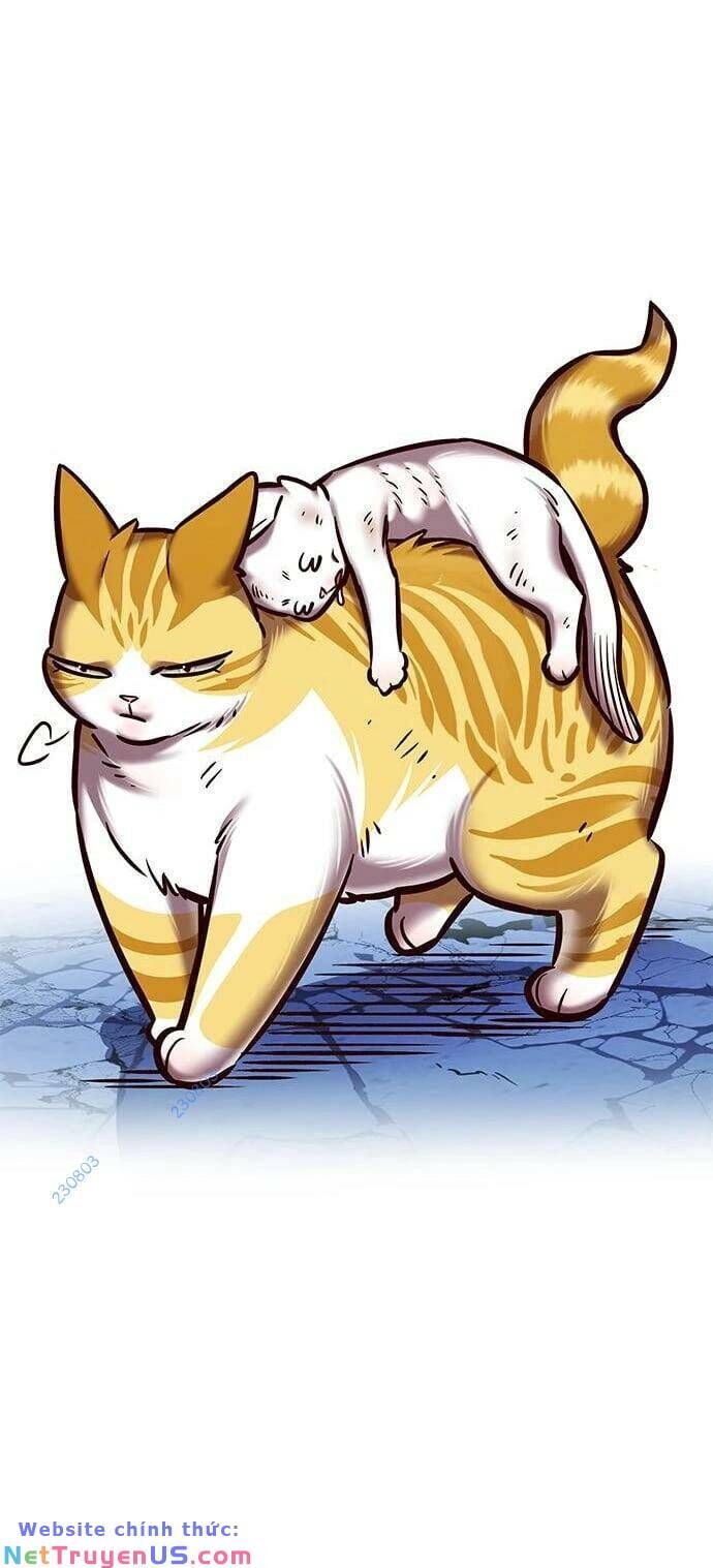 Hoá Thân Thành Mèo - Chapter 275 - Page 39