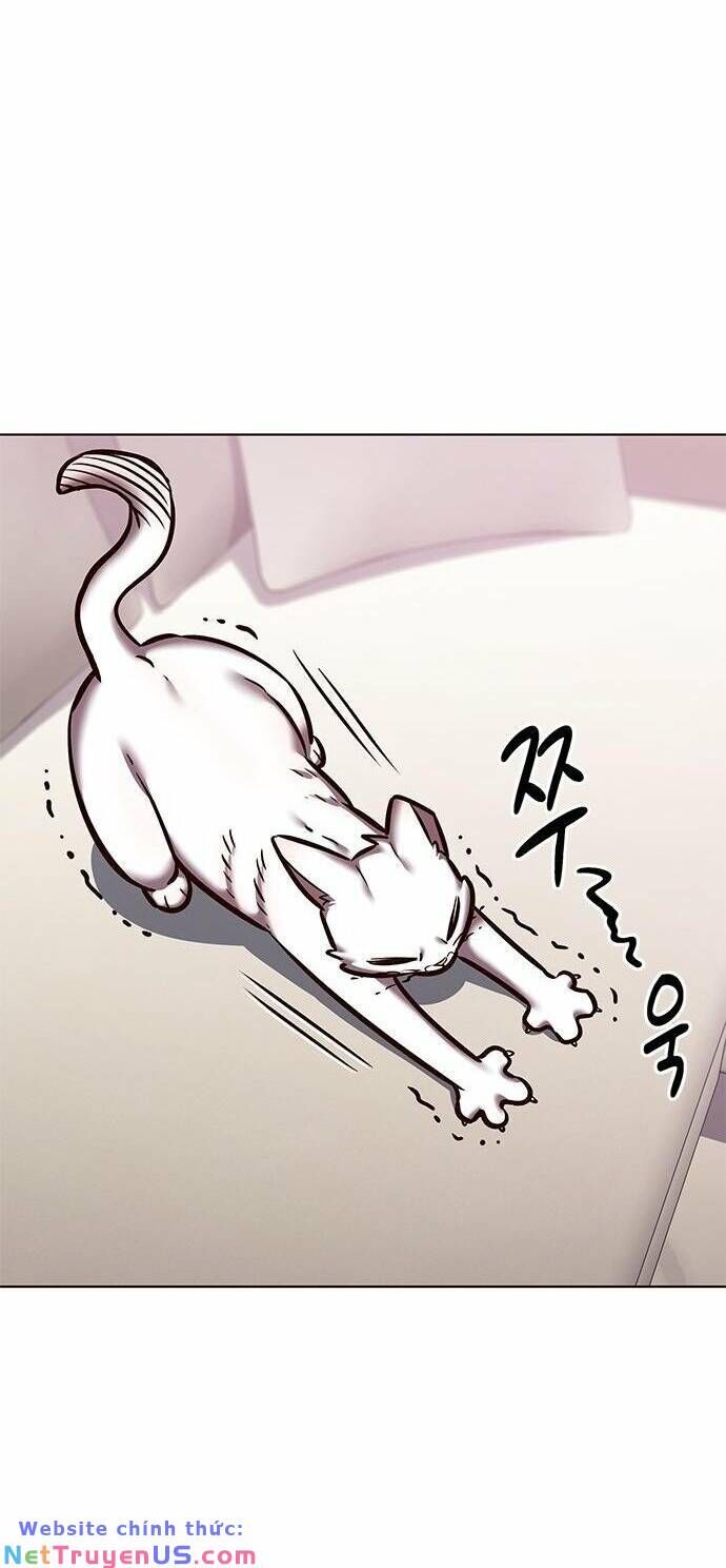 Hoá Thân Thành Mèo - Chapter 275 - Page 61