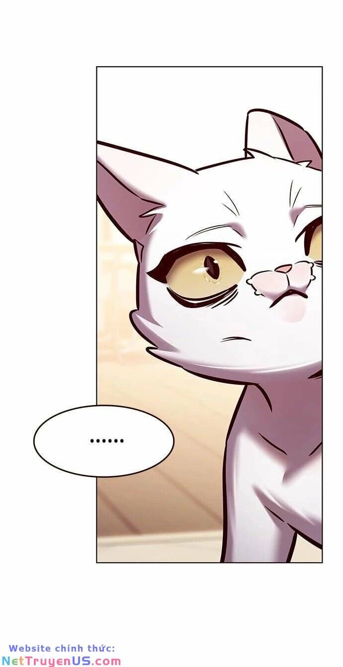 Hoá Thân Thành Mèo - Chapter 275 - Page 64