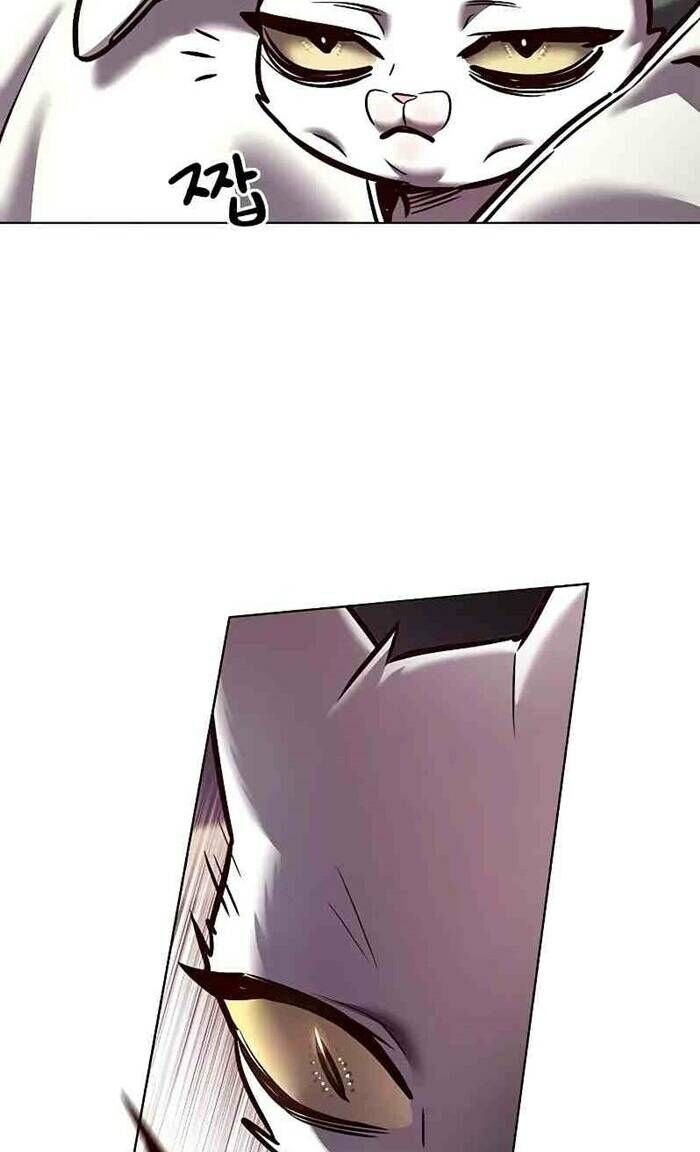 Hoá Thân Thành Mèo - Chapter 277 - Page 11