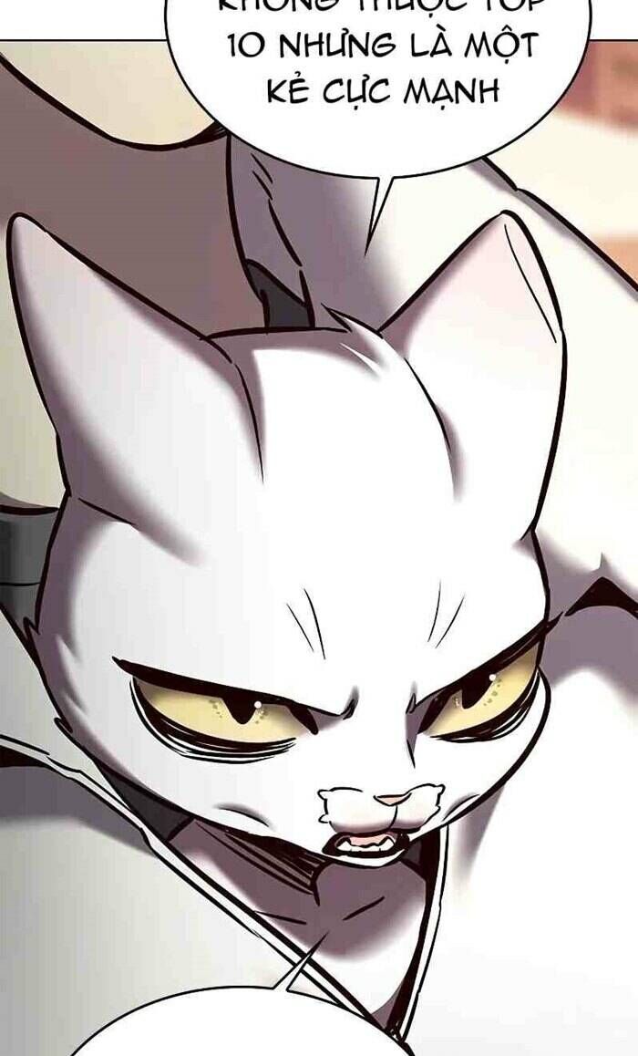 Hoá Thân Thành Mèo - Chapter 277 - Page 18