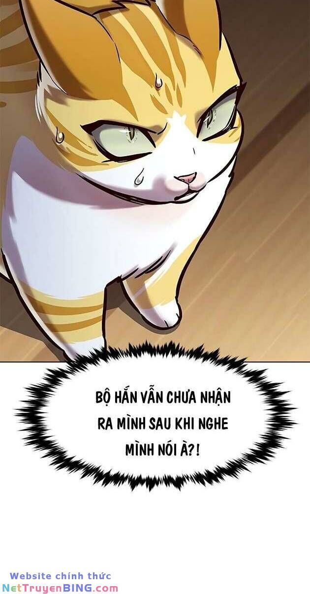 Hoá Thân Thành Mèo - Chapter 278 - Page 17