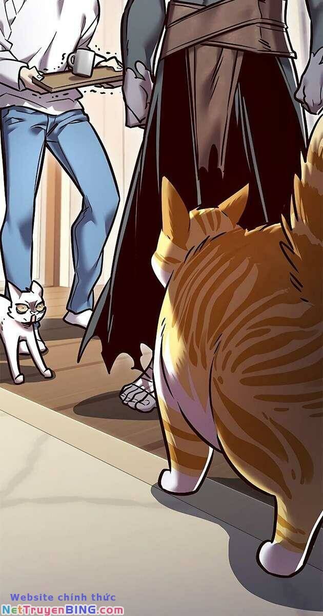Hoá Thân Thành Mèo - Chapter 278 - Page 3