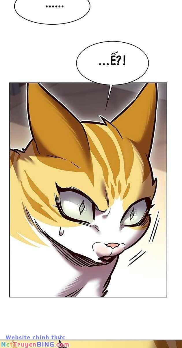 Hoá Thân Thành Mèo - Chapter 278 - Page 5