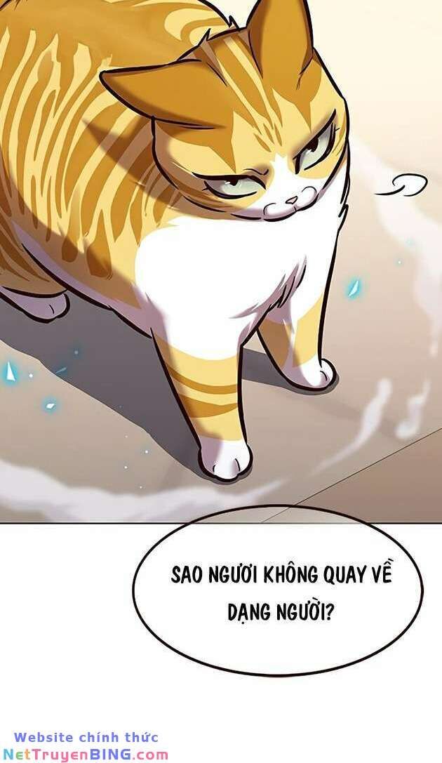 Hoá Thân Thành Mèo - Chapter 278 - Page 55