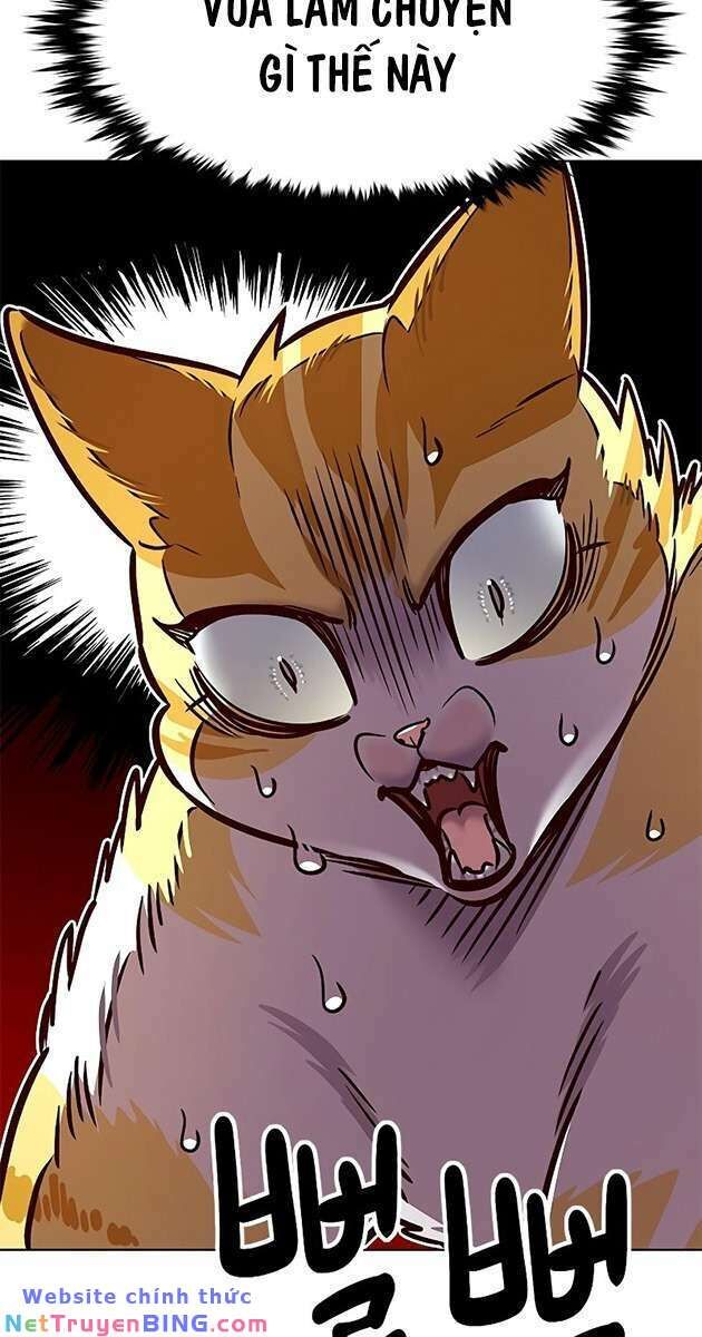 Hoá Thân Thành Mèo - Chapter 278 - Page 8