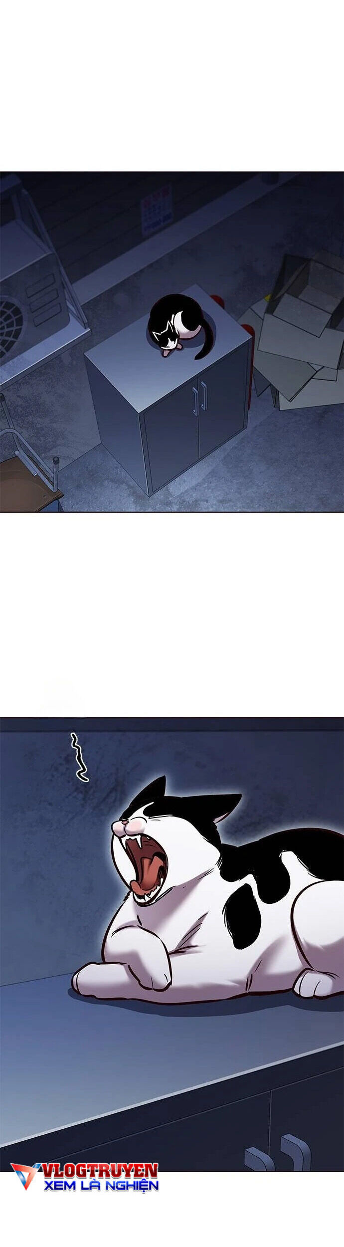Hoá Thân Thành Mèo - Chapter 279 - Page 19
