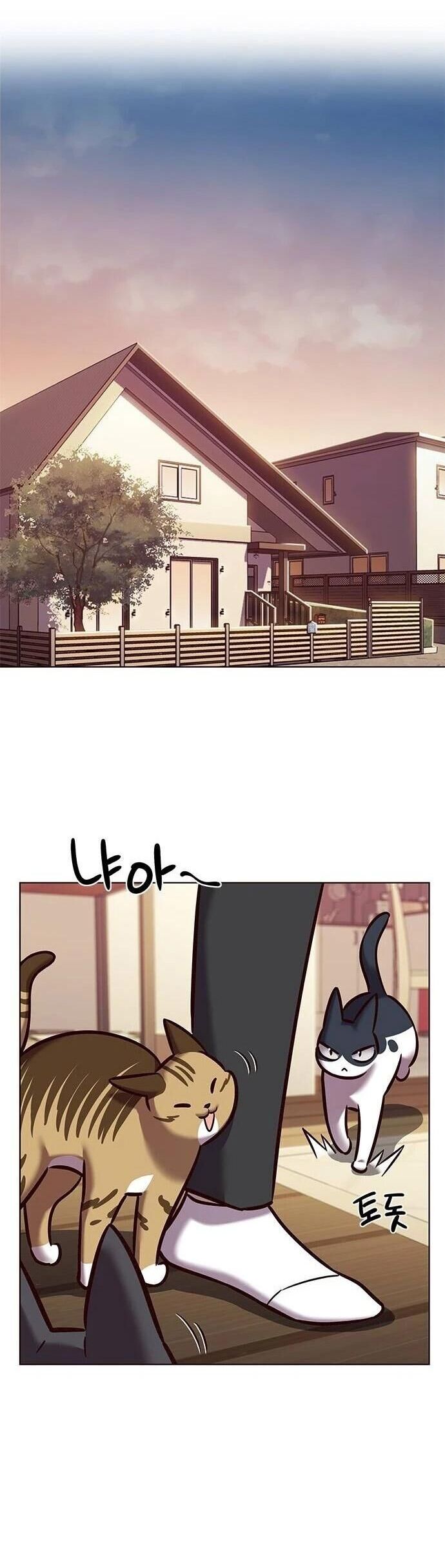 Hoá Thân Thành Mèo - Chapter 279 - Page 31