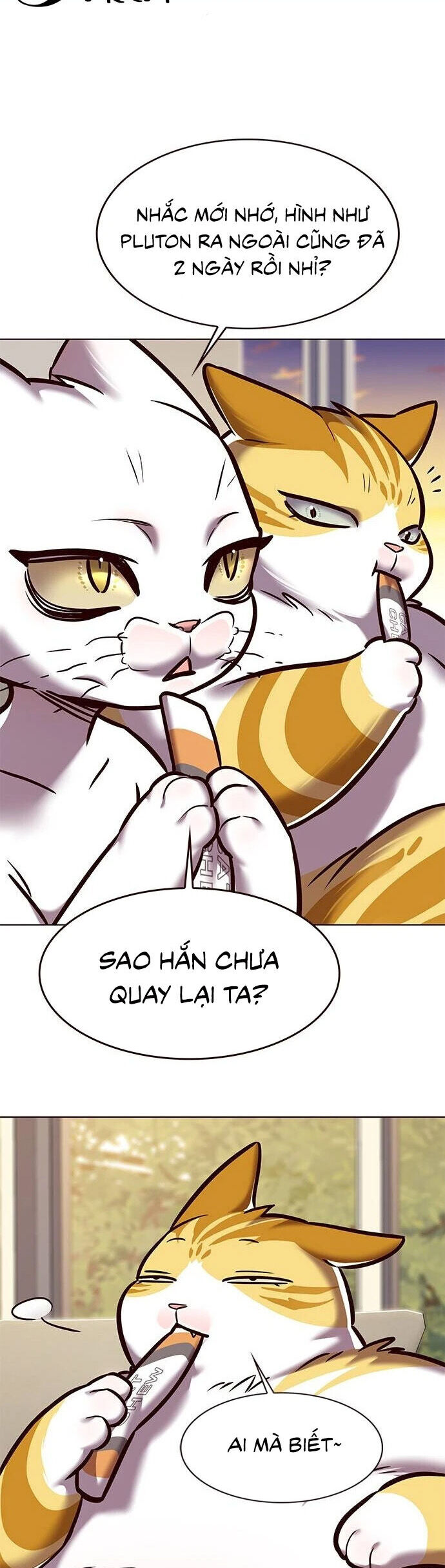 Hoá Thân Thành Mèo - Chapter 279 - Page 33