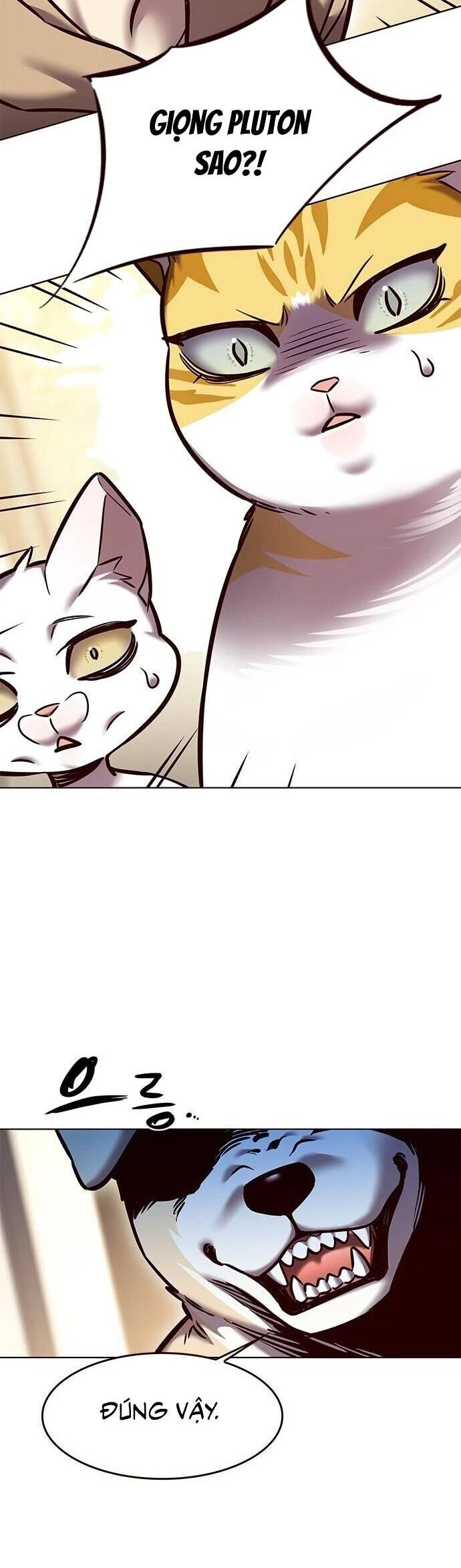 Hoá Thân Thành Mèo - Chapter 279 - Page 39