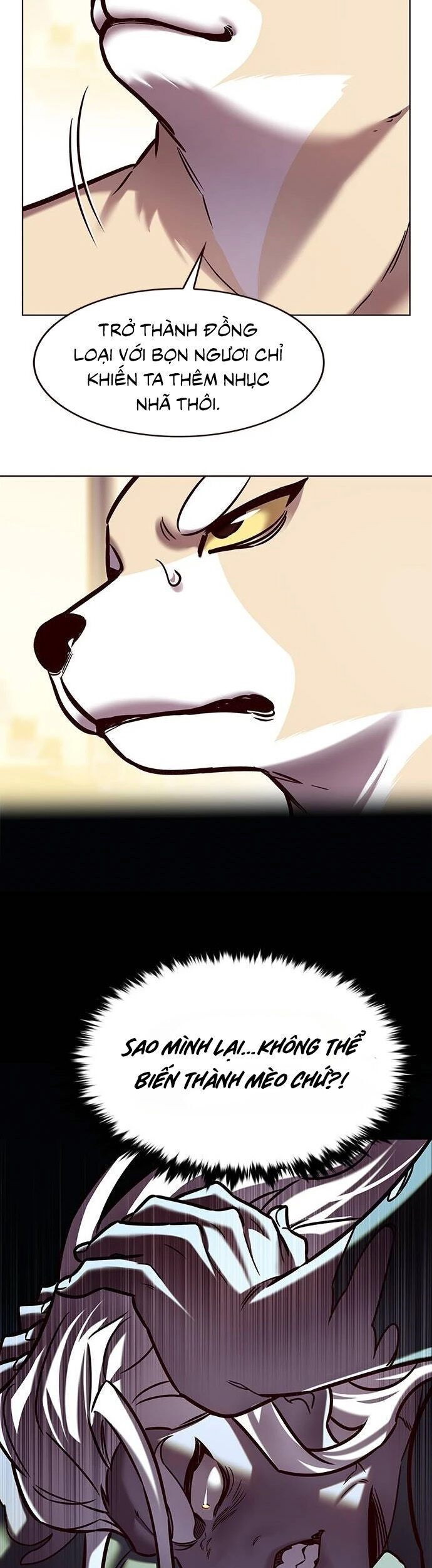 Hoá Thân Thành Mèo - Chapter 279 - Page 42