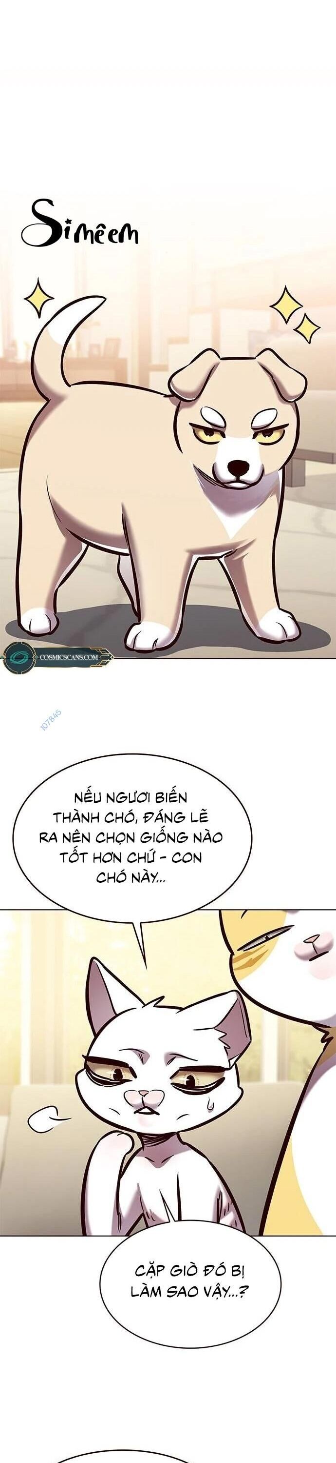 Hoá Thân Thành Mèo - Chapter 279 - Page 45