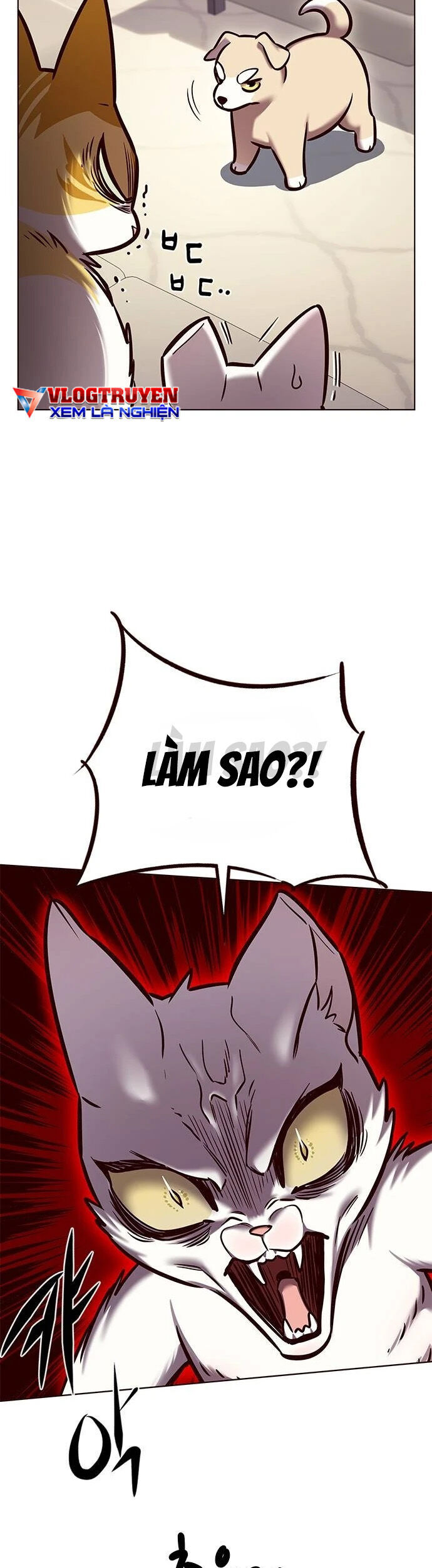 Hoá Thân Thành Mèo - Chapter 279 - Page 49