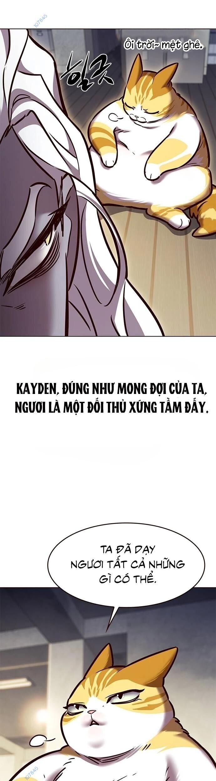 Hoá Thân Thành Mèo - Chapter 279 - Page 5