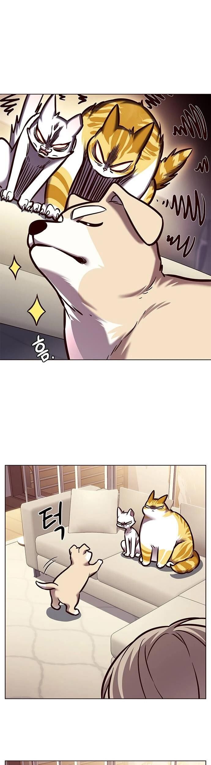 Hoá Thân Thành Mèo - Chapter 279 - Page 51