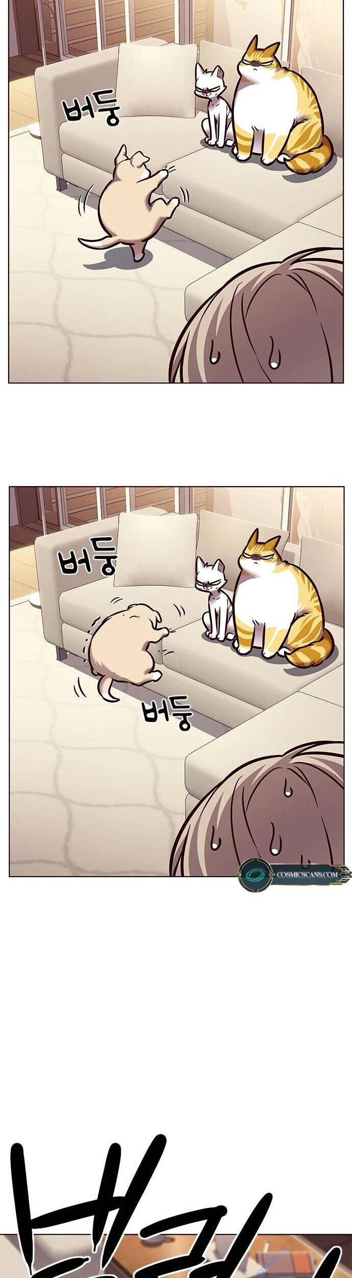 Hoá Thân Thành Mèo - Chapter 279 - Page 52