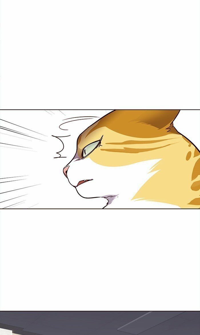 Hoá Thân Thành Mèo - Chapter 28 - Page 22