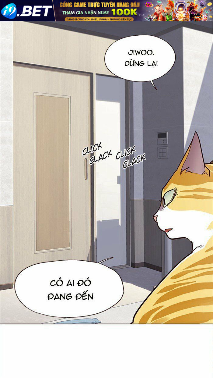 Hoá Thân Thành Mèo - Chapter 28 - Page 23