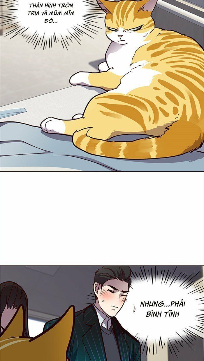 Hoá Thân Thành Mèo - Chapter 28 - Page 35