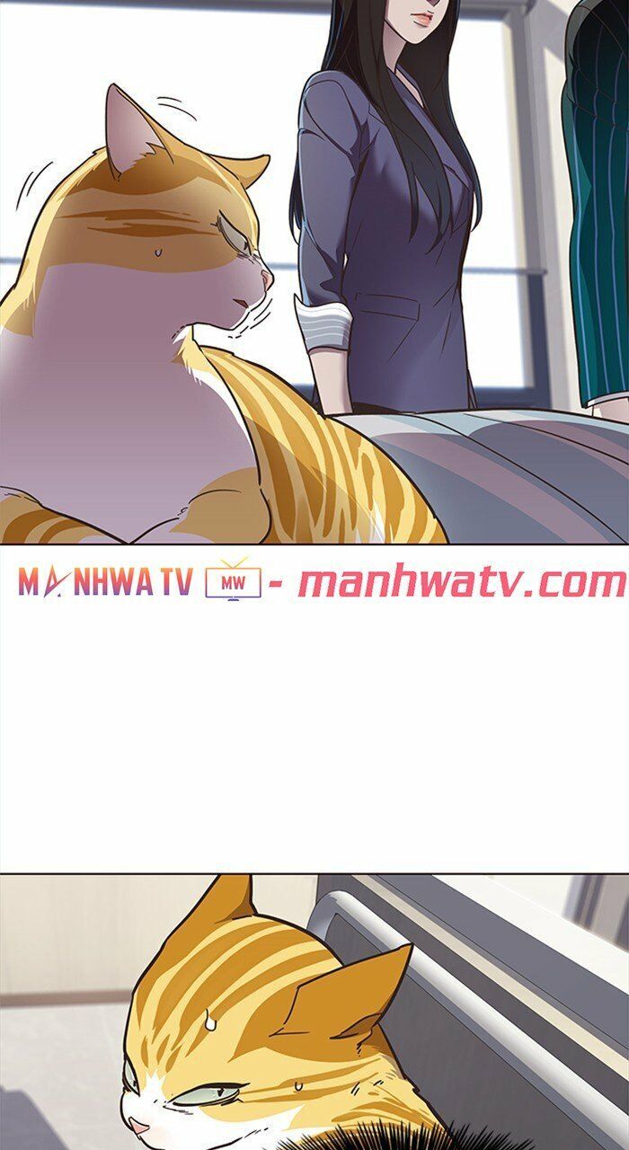 Hoá Thân Thành Mèo - Chapter 28 - Page 47