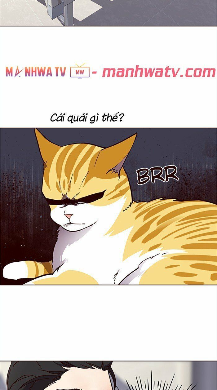 Hoá Thân Thành Mèo - Chapter 28 - Page 51