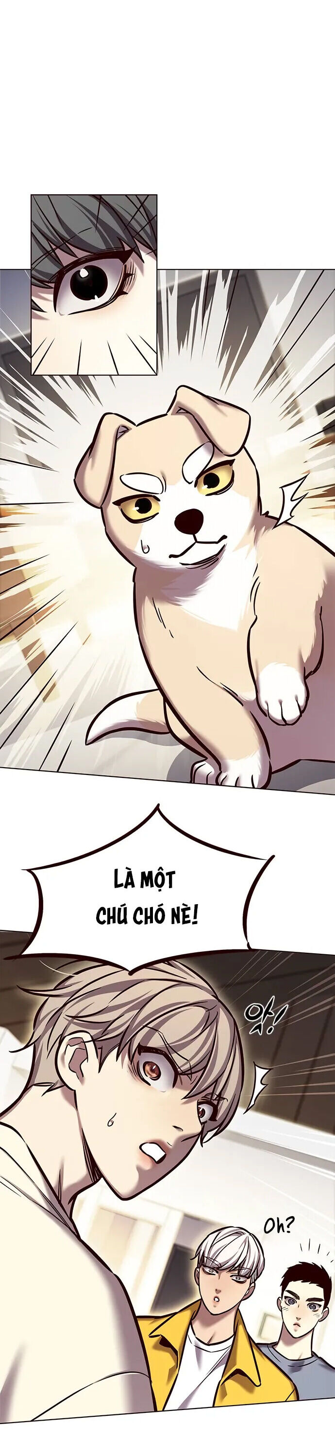 Hoá Thân Thành Mèo - Chapter 280 - Page 11