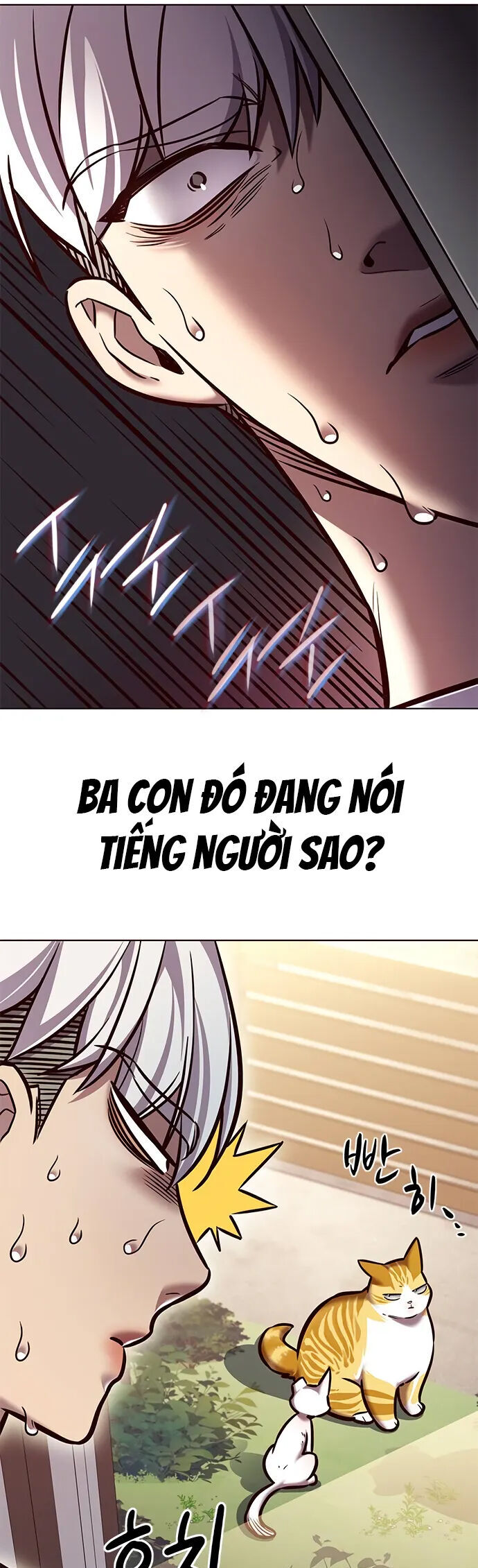 Hoá Thân Thành Mèo - Chapter 280 - Page 24