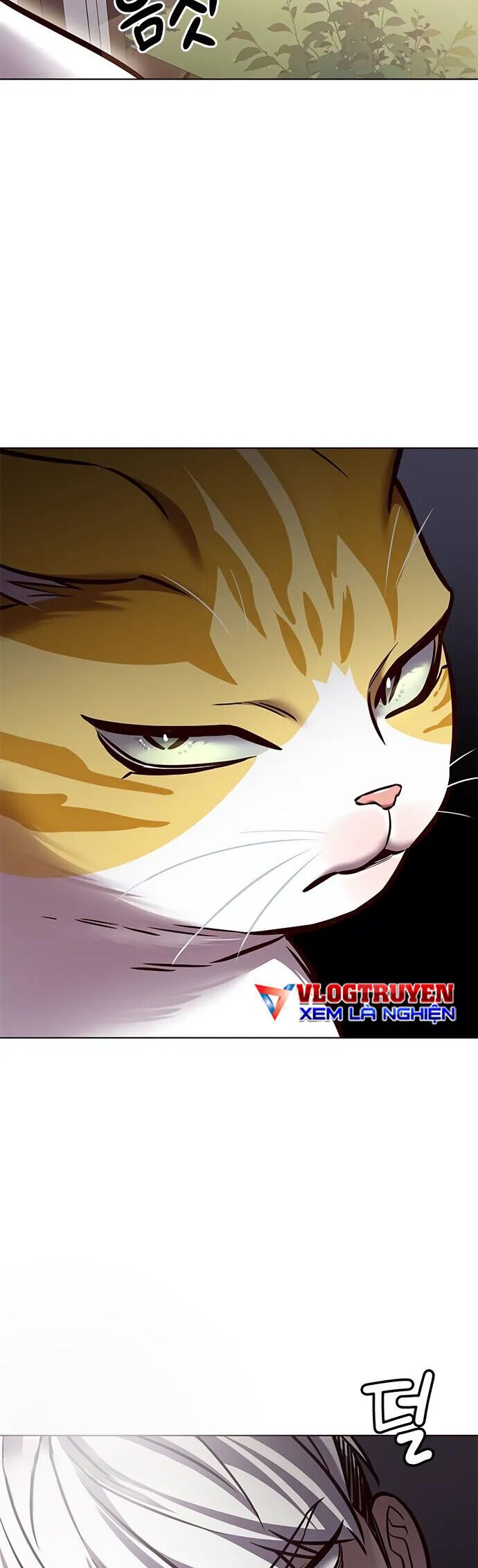 Hoá Thân Thành Mèo - Chapter 280 - Page 25