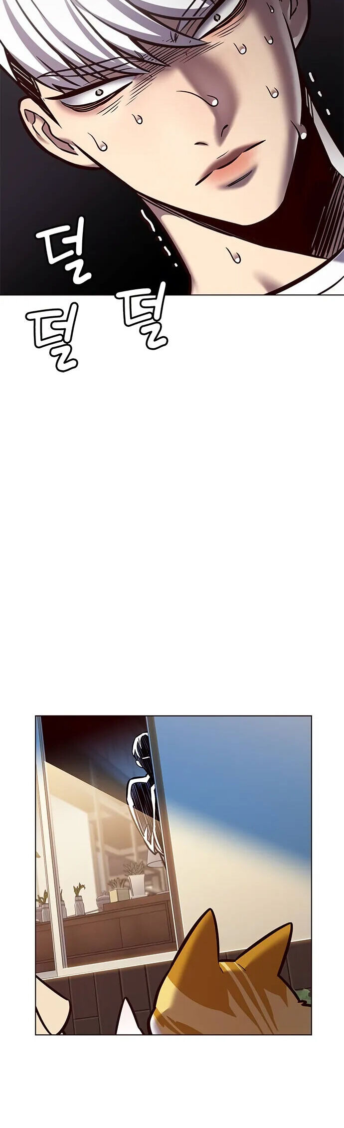 Hoá Thân Thành Mèo - Chapter 280 - Page 26