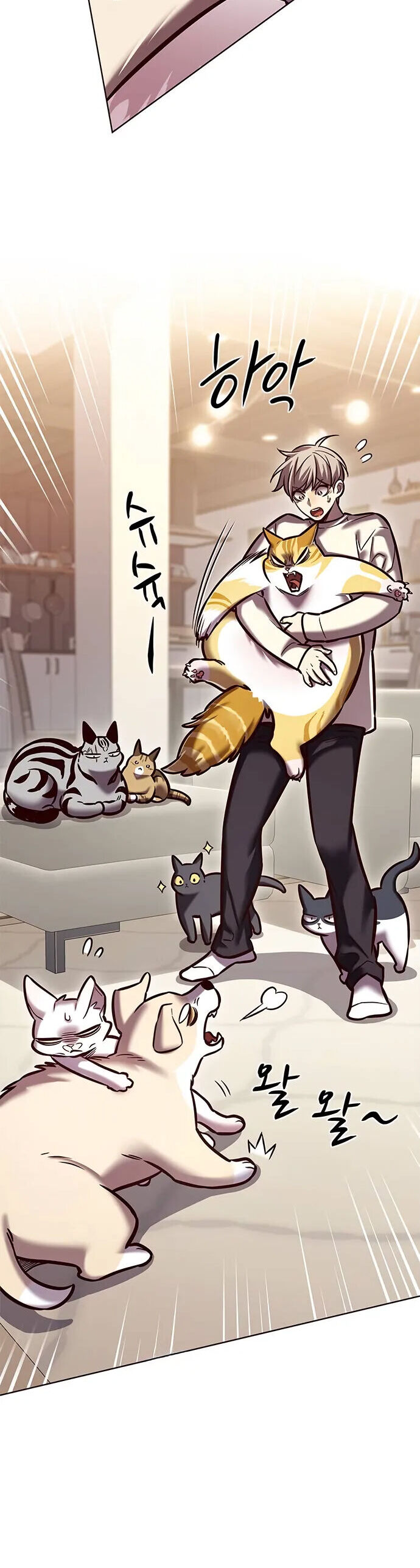 Hoá Thân Thành Mèo - Chapter 280 - Page 56