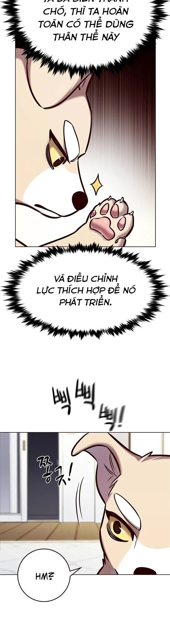 Hoá Thân Thành Mèo - Chapter 280 - Page 8