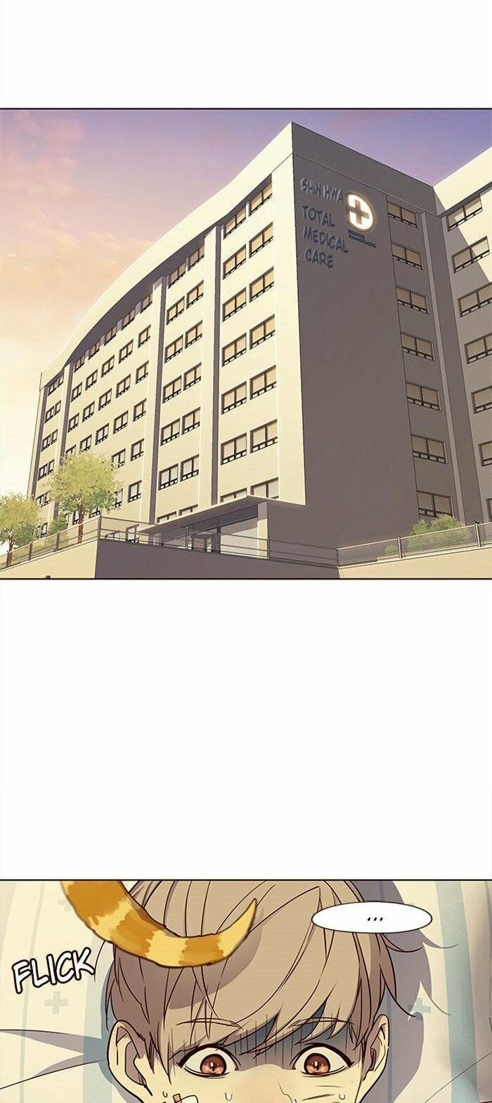 Hoá Thân Thành Mèo - Chapter 29 - Page 11