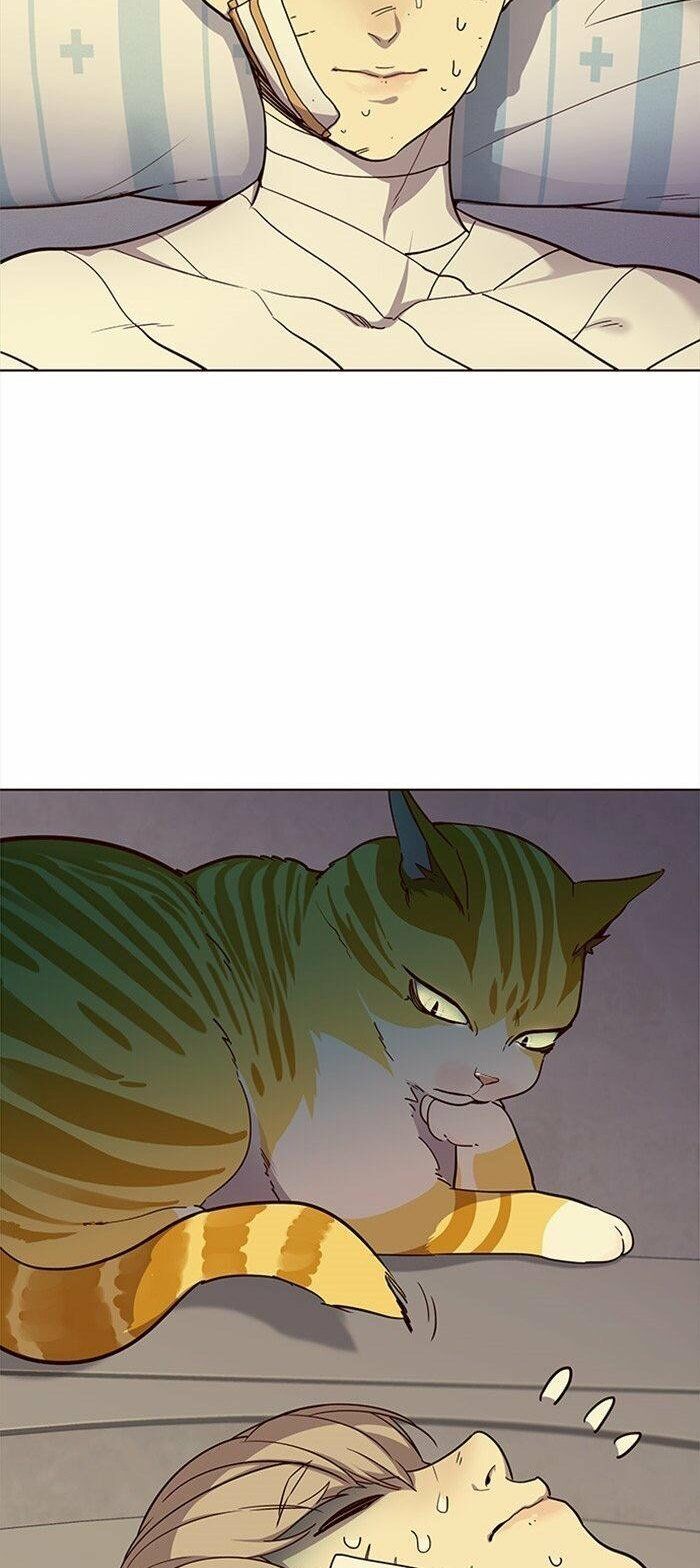 Hoá Thân Thành Mèo - Chapter 29 - Page 12