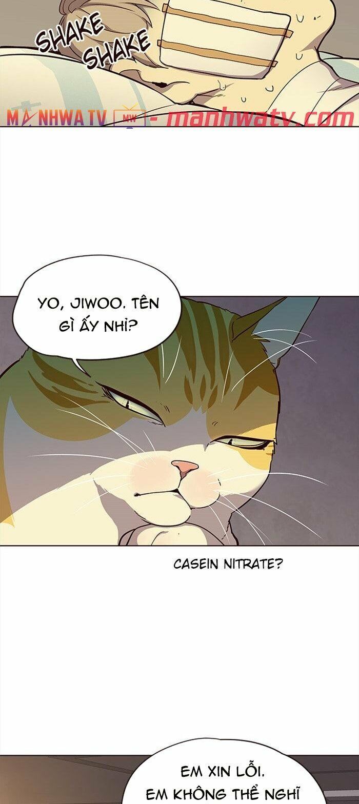 Hoá Thân Thành Mèo - Chapter 29 - Page 13