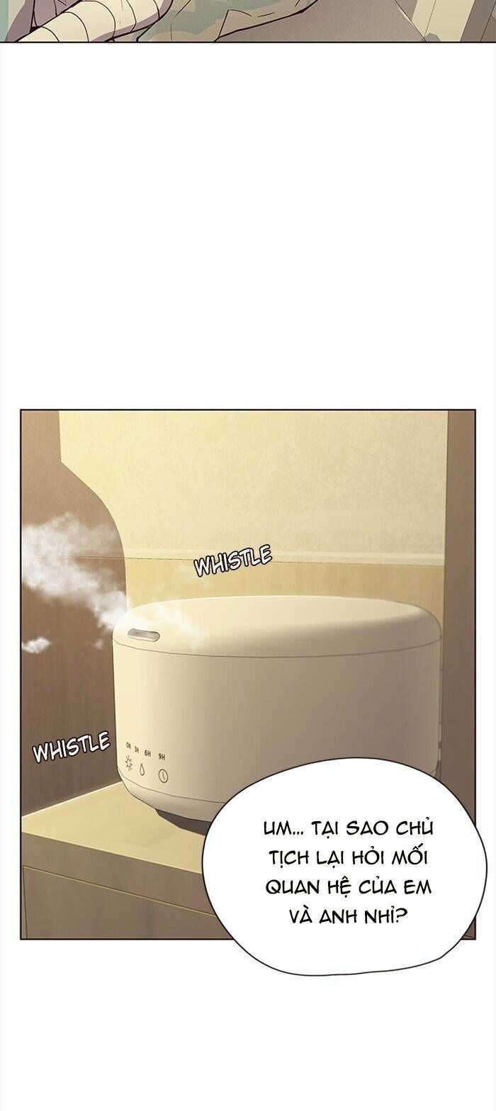 Hoá Thân Thành Mèo - Chapter 29 - Page 16