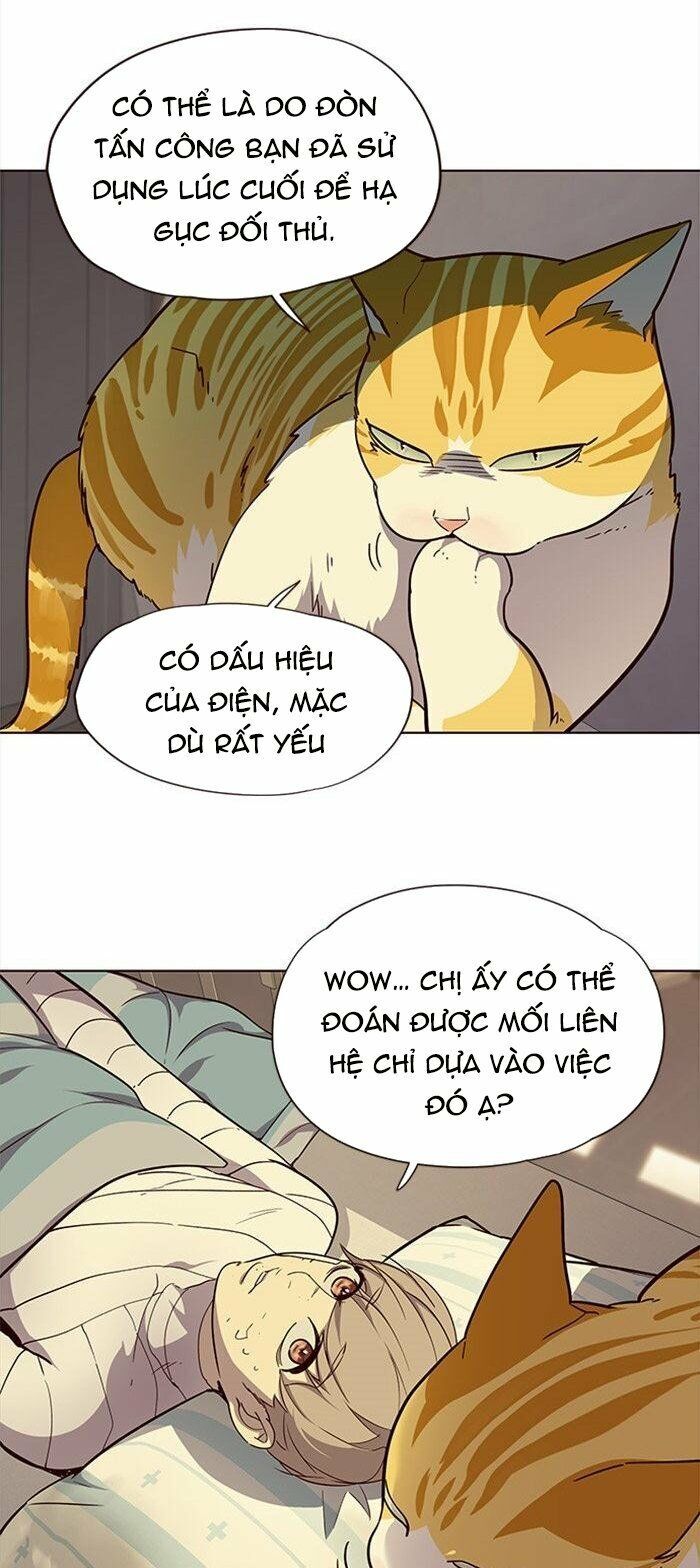Hoá Thân Thành Mèo - Chapter 29 - Page 17