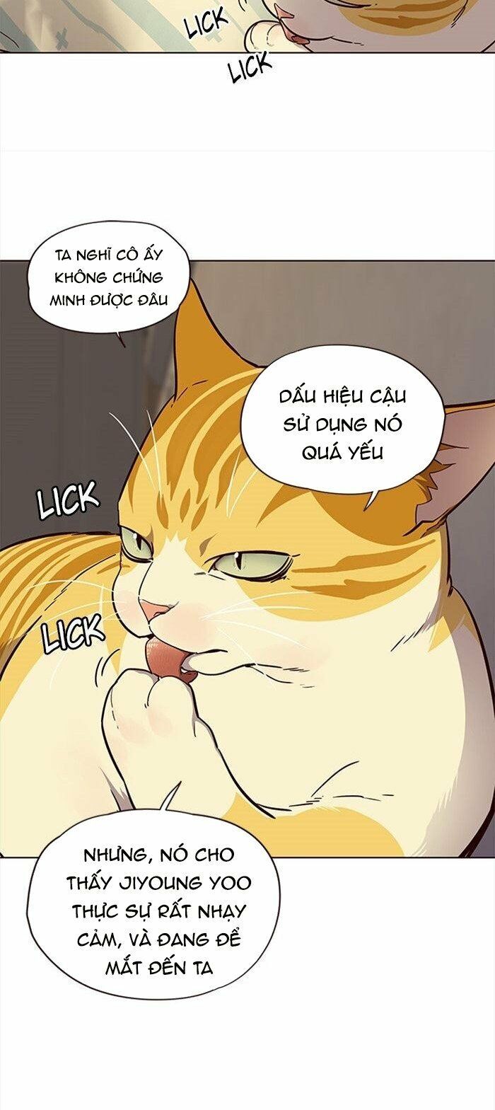 Hoá Thân Thành Mèo - Chapter 29 - Page 18