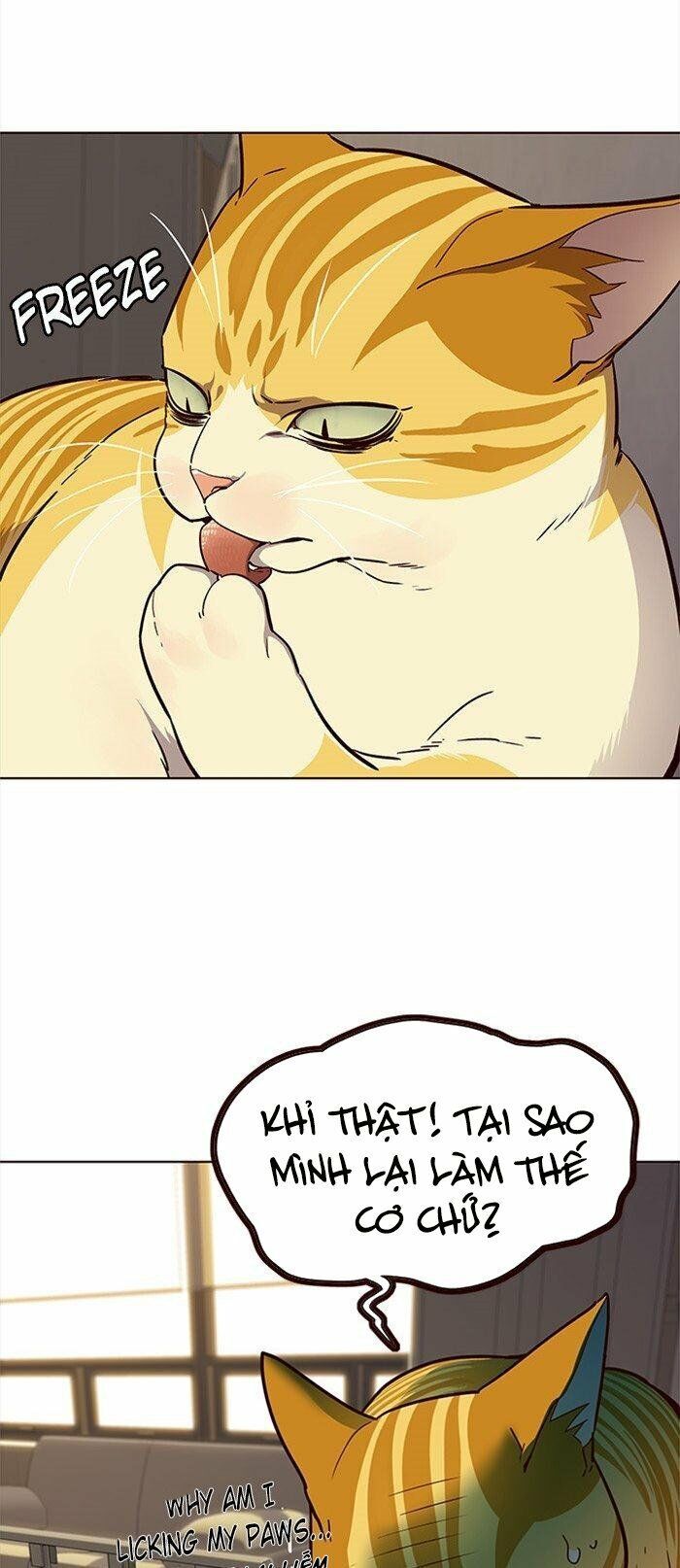 Hoá Thân Thành Mèo - Chapter 29 - Page 19