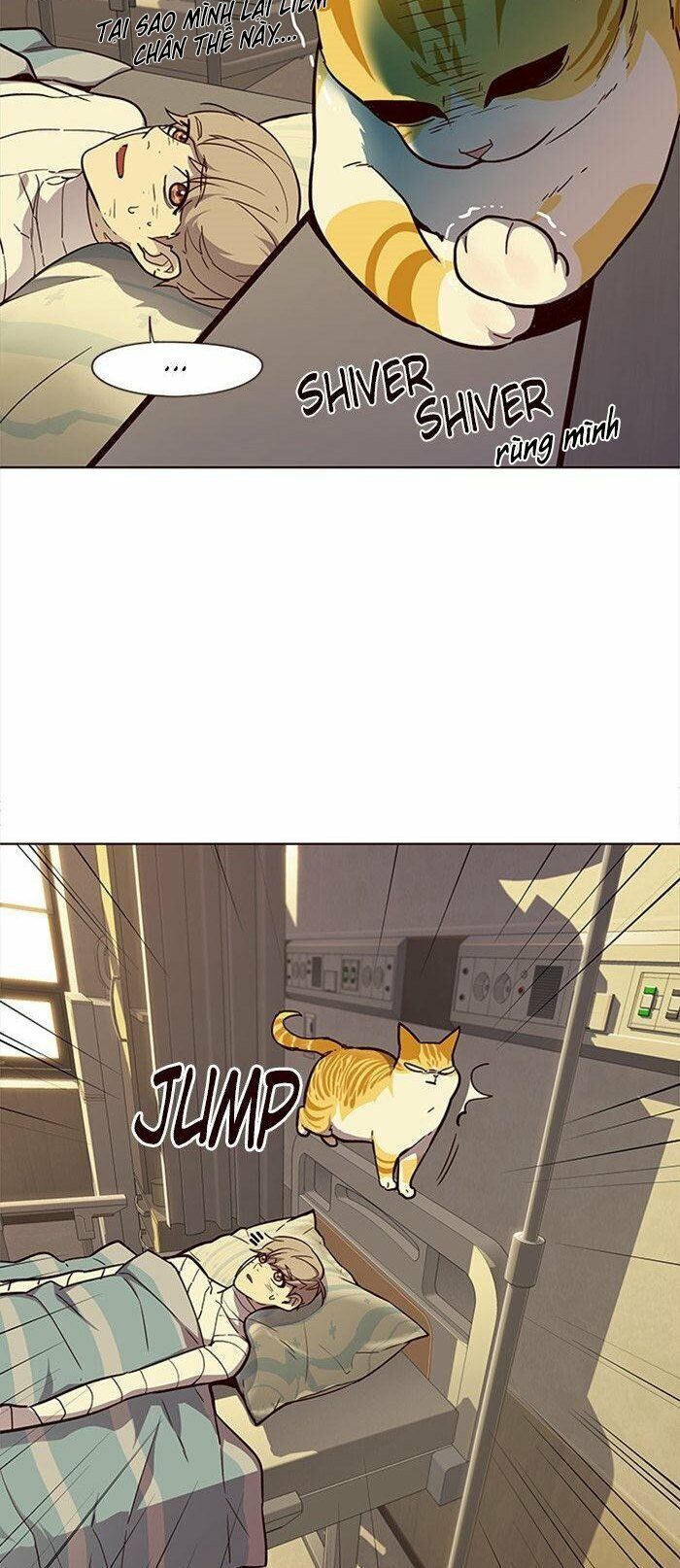 Hoá Thân Thành Mèo - Chapter 29 - Page 20