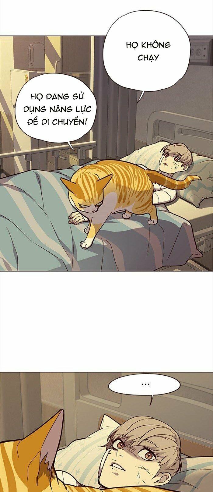 Hoá Thân Thành Mèo - Chapter 29 - Page 22