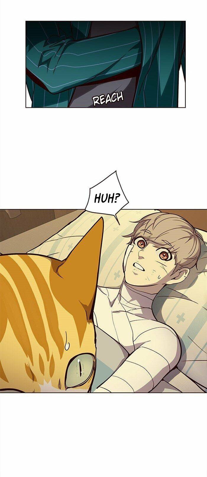 Hoá Thân Thành Mèo - Chapter 29 - Page 27