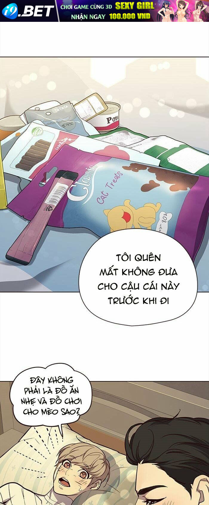 Hoá Thân Thành Mèo - Chapter 29 - Page 28