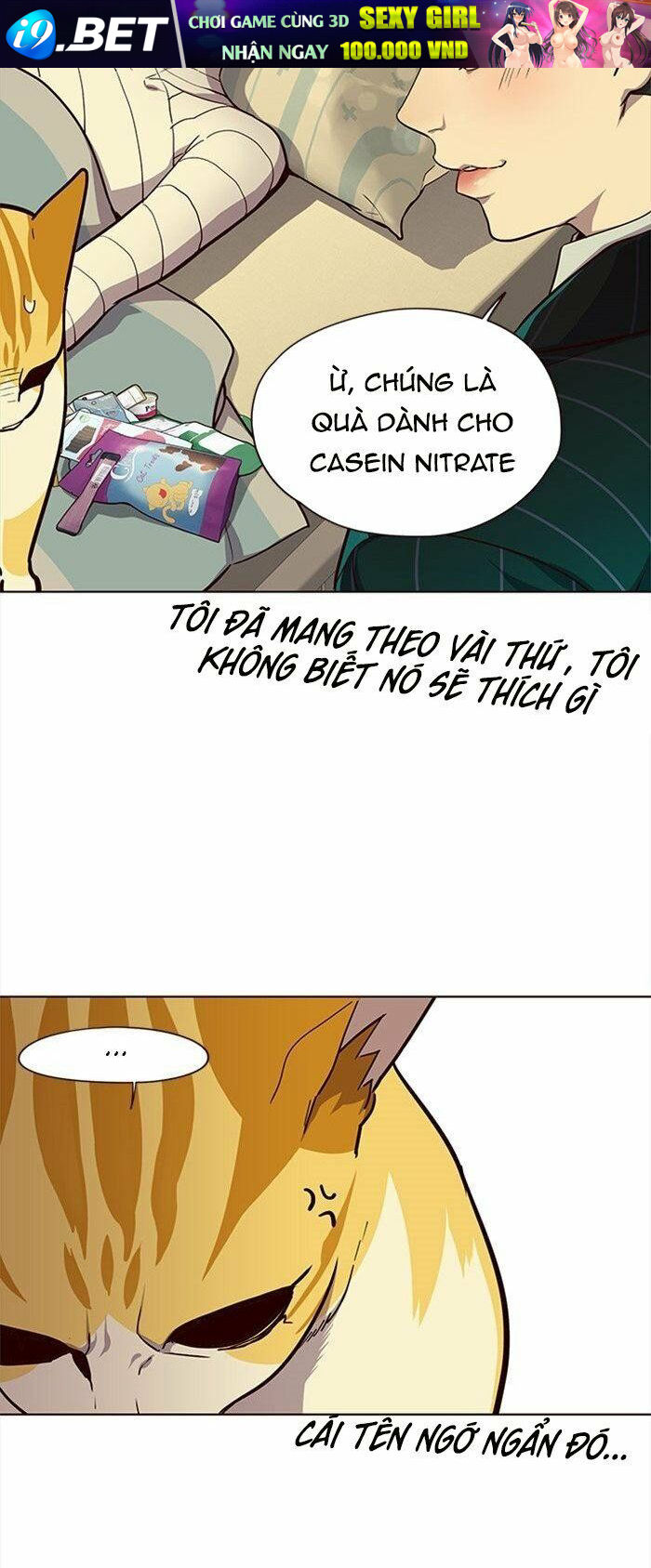 Hoá Thân Thành Mèo - Chapter 29 - Page 29