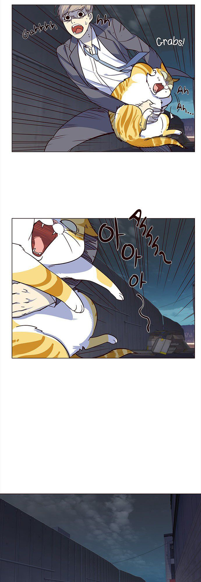 Hoá Thân Thành Mèo - Chapter 3 - Page 14